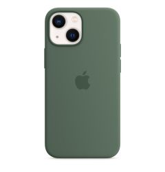Husa Originala iPhone 13 Mini Apple Silicon, MagSafe, Eucalyptus